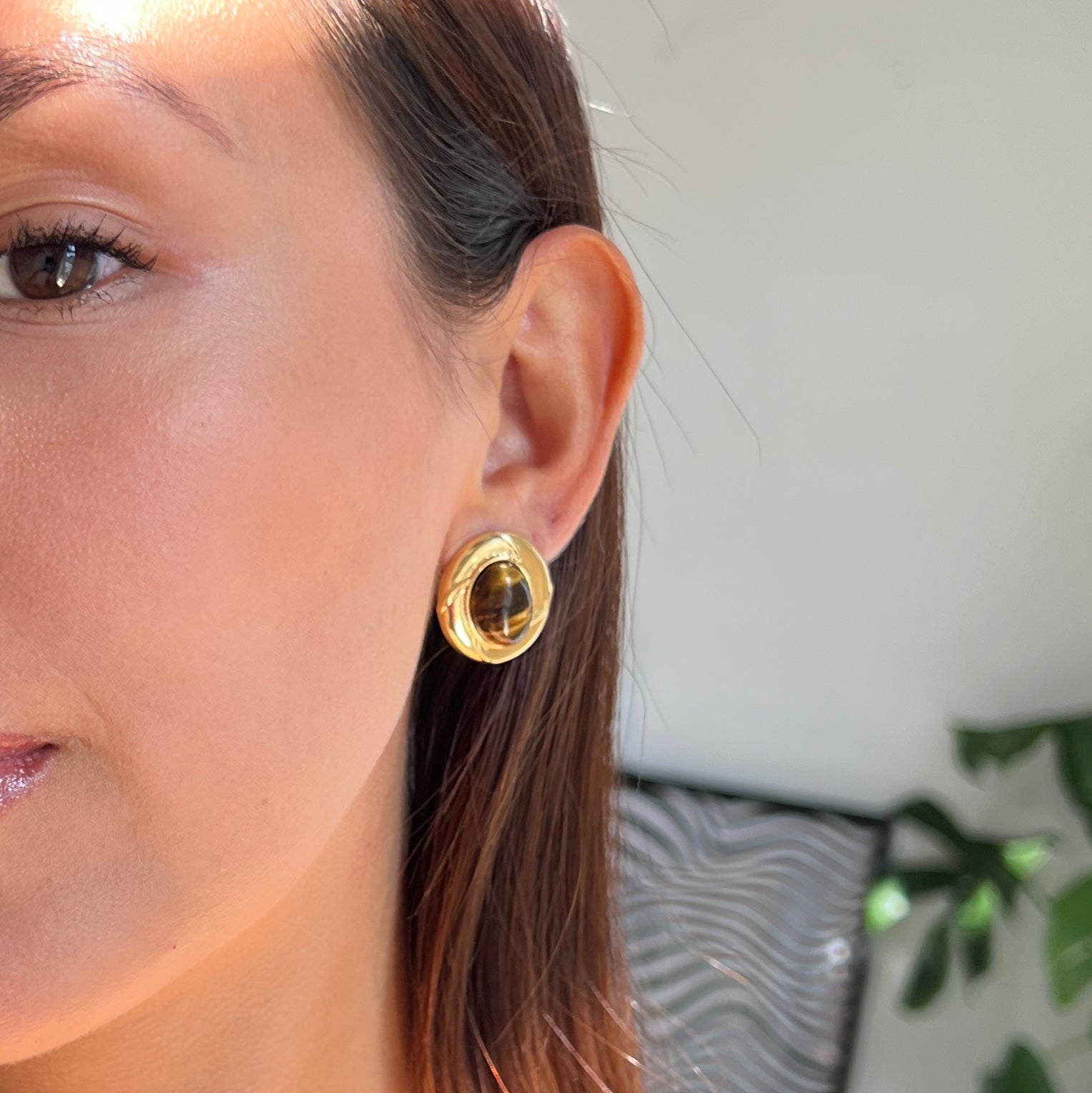 Chocolate earrings